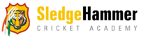 SledgeHammer Cricket Academy